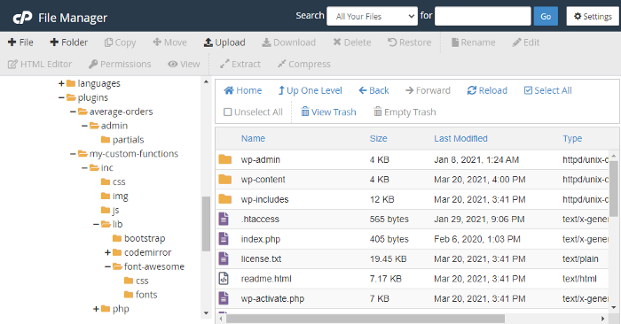 WordPress files on the server